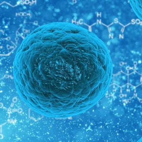 stem-cell-163711_1280.jpg