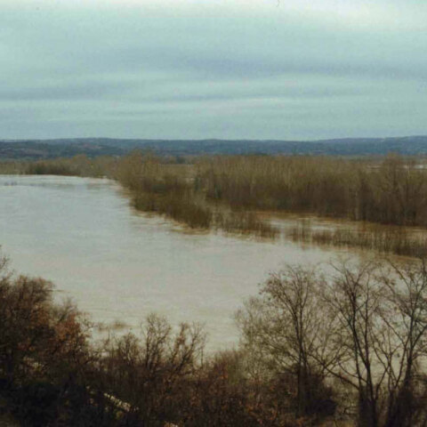 evros93.jpg