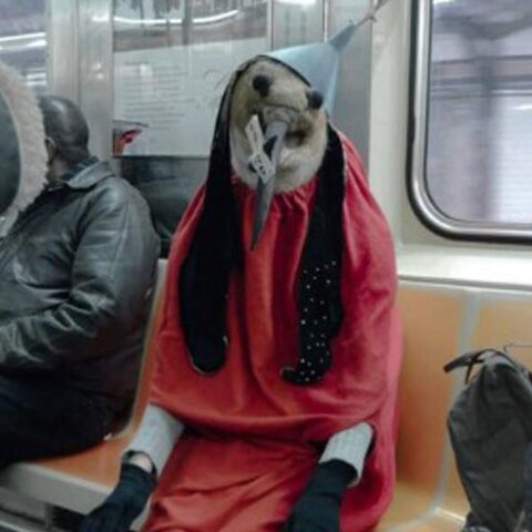 Το πουλί - δαίμονας του Ιερώνυμου Μπος κυκλοφορεί στο μετρό της Νέας Υόρκης