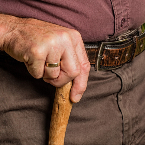 old-hands3442342.jpg