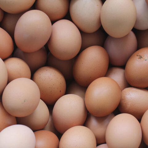 eggs23423.jpg