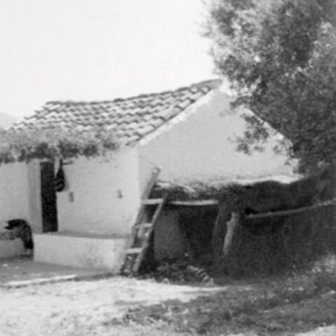 Σταύρος Ζουμπουλάκης «Στ’ αμπέλια» εκδ. Πόλις