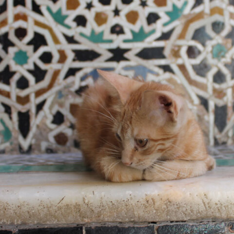 morroco.jpg