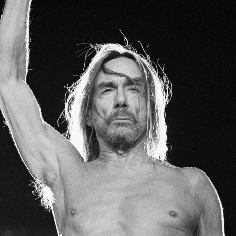 iggy_pop_web.jpg