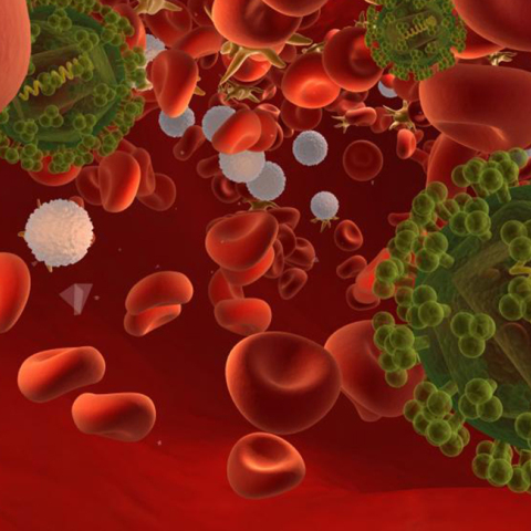 hiv-infection.jpg