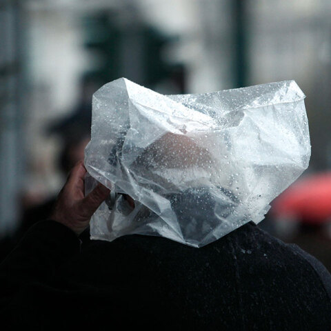 plastic-bag.jpg