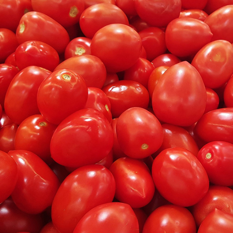 tomatoes-1310603_1920.jpg