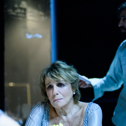 «Ο Γυάλινος Κόσμος» του Τενεσί Γουίλιαμς, Θέατρο Οδού Κεφαλληνίας