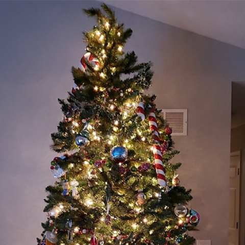 ΧΡΙΣΤΟΥΓΕΝΝΙΑΤΙΚΟ ΔΕΝΤΡΟ 