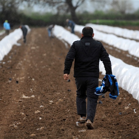 Αγροτικές εκτάσεις