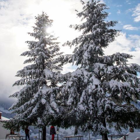 Χιονοδρομικά 