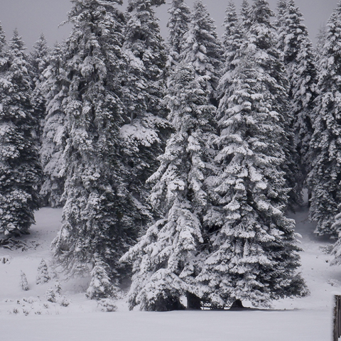 Χιόνια στα ορεινά 