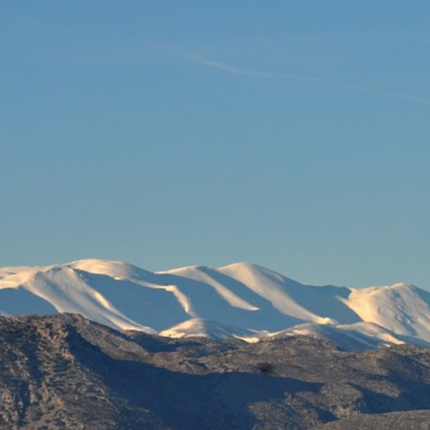 Ψηλορείτης