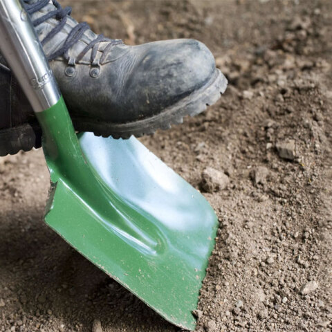 shovel-garden.jpg