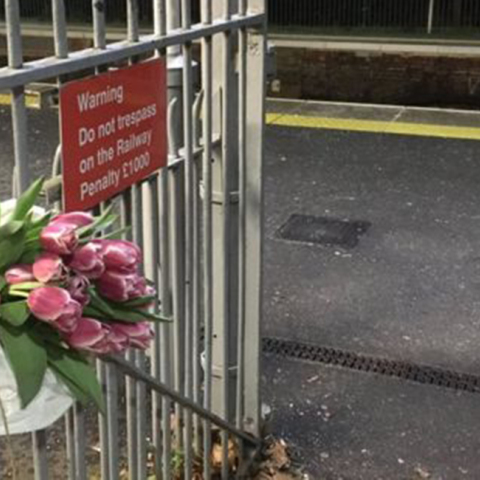 Σάρεϊ, Λονδίνο