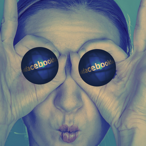 facebook-695108_1920.jpg