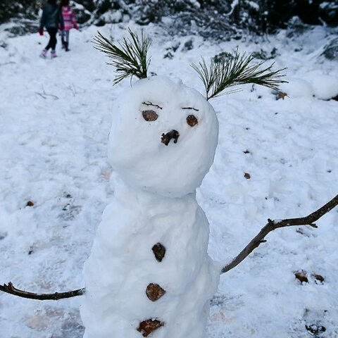 Πολικό ψύχος