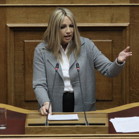 Φώφη γεννηματά / Βουλή 