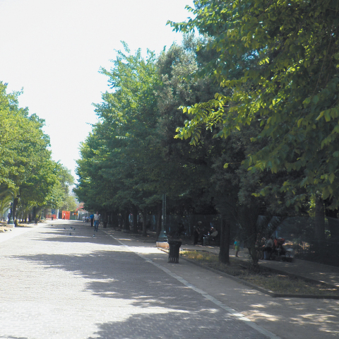 Πεδίο του Άρεως