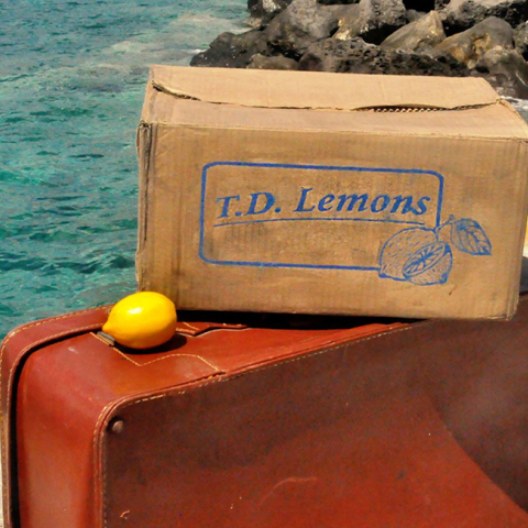 Lemon, στο Θέατρο Radar