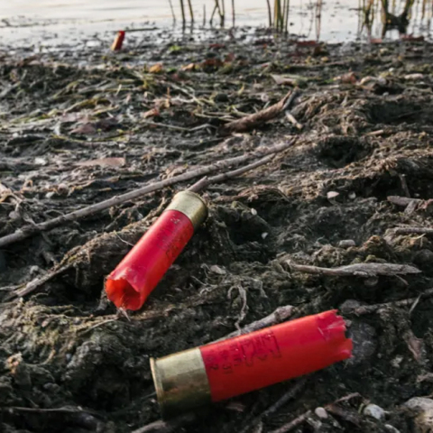 Έριξε δίχτυα και έβγαλε... δίκανο