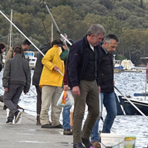 Γαρίδες, Αμφιλοχία