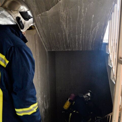 pyrosbestiki_upiresia