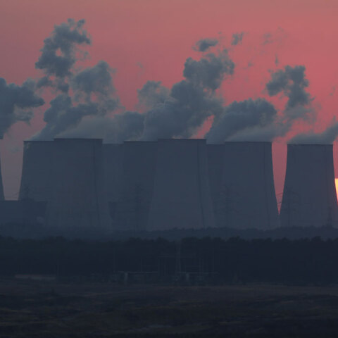 Παγκόσμια Συνδημία 