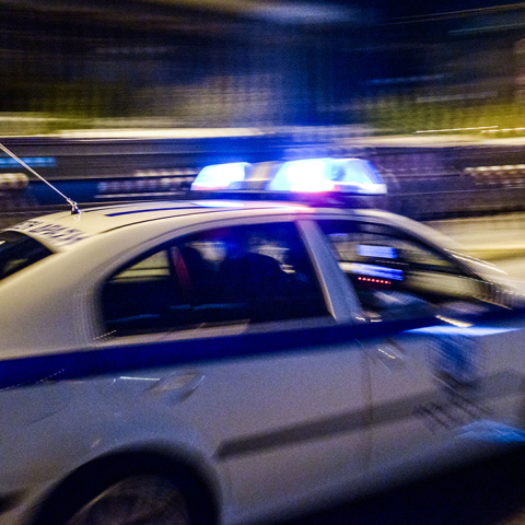 Ελληνική Αστυνομία