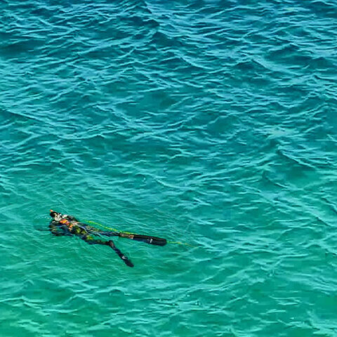 Ψαροντουφεκάς