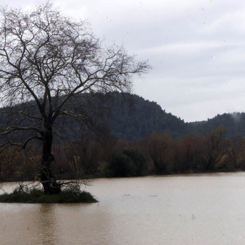 Νομός Ηλείας