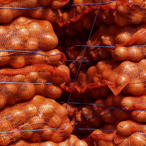 Πορτοκάλια