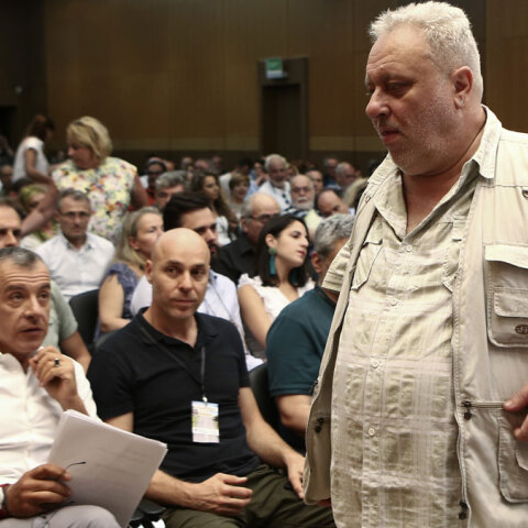 Γρηγόρης ψαριανός - Σταύρος Θεοδωράκης