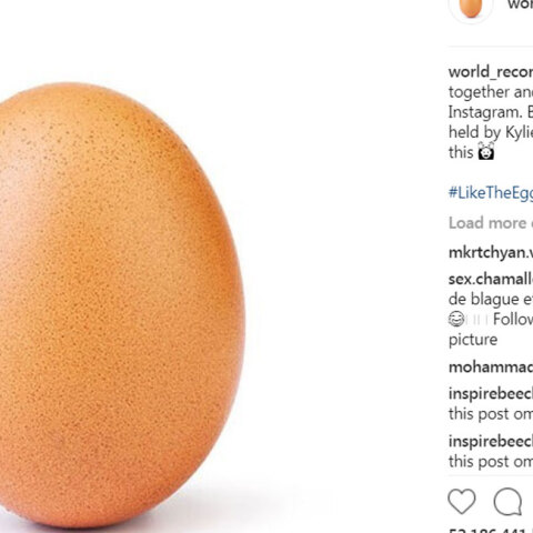 egg