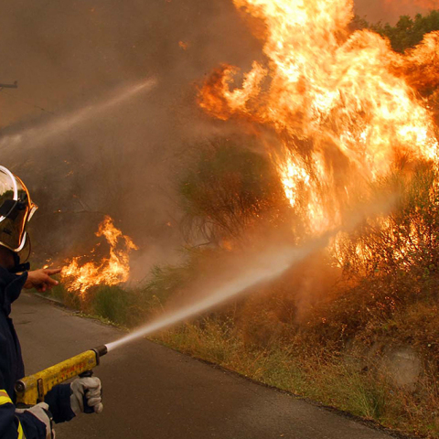 Ηλεία, Πυρκαγιά