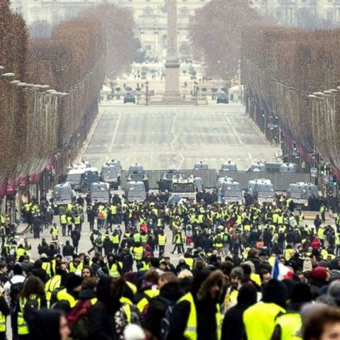 yellow-vest