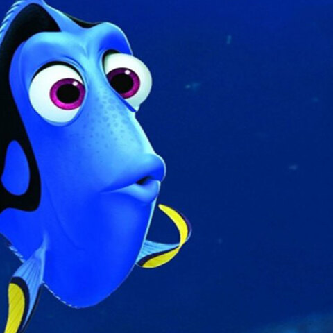 dory