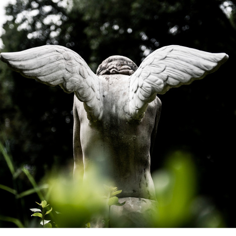 Εθνικός Κήπος