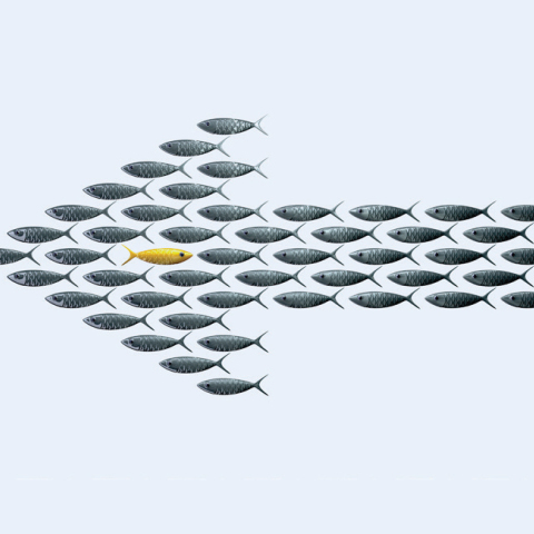 Σταμάτης Κραουνάκης