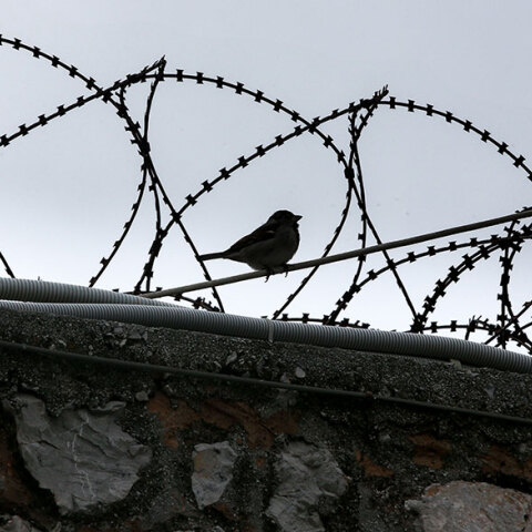 Φυλακές Κορυδαλλού