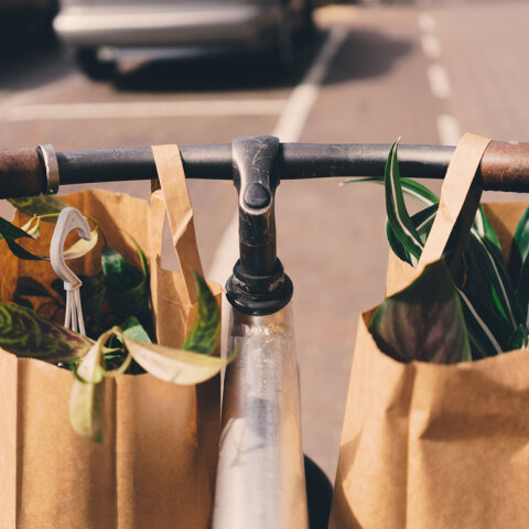 Φωτογραφία: Guus Baggermans/ Unsplash