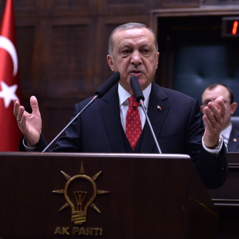 EΡΝΤΟΓΑΝ ©  EPA/STR