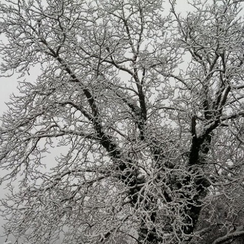 Κακοκαιρία