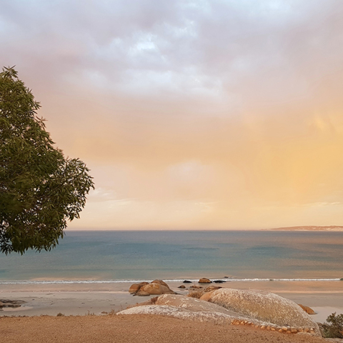Wolfgat, το εστιατόριο της χρονιάς