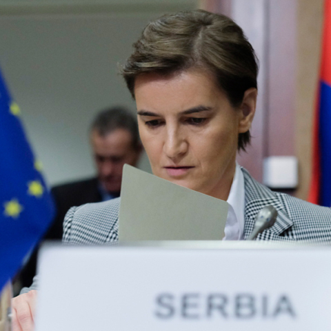 Άνα Μπρνάμπιτς 