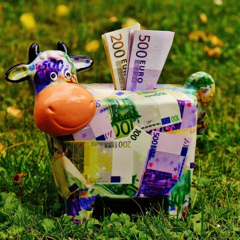 piggy-bank-1510525_1920.jpg