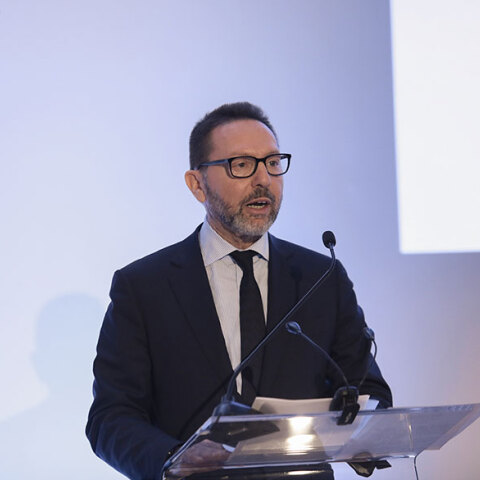 Γιάννης Στουρνάρας