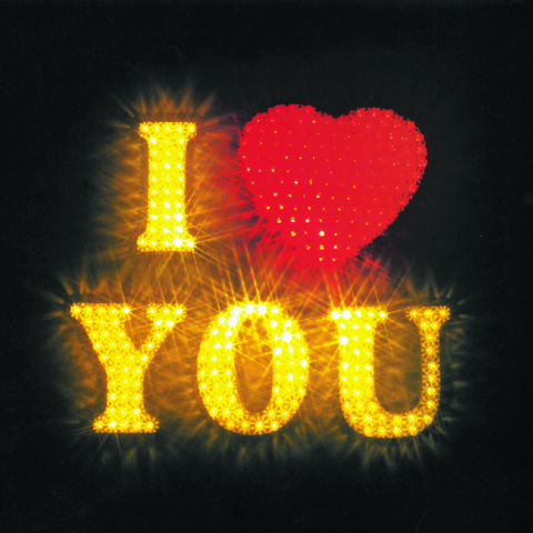 Tim Noble & Sue Webster, I LOVE YOU, 2001