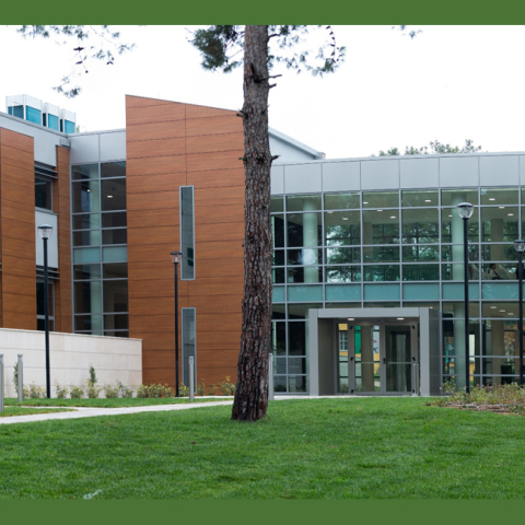 Detrop, Αμερικανική Γεωργική Σχολή, Perrotis College