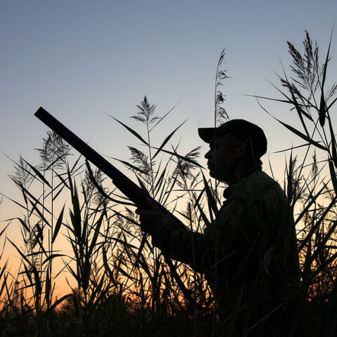Νεκρός κυνηγός